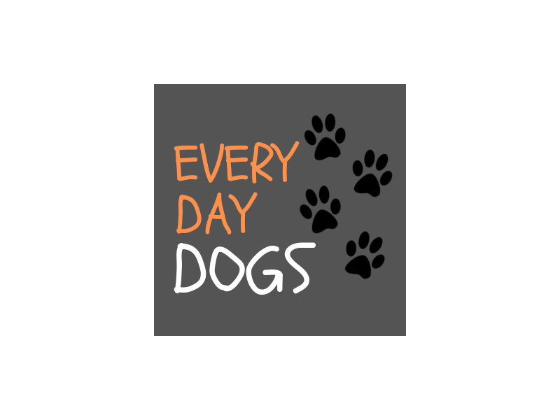 everydaydogs-1