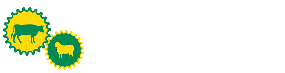 website logo