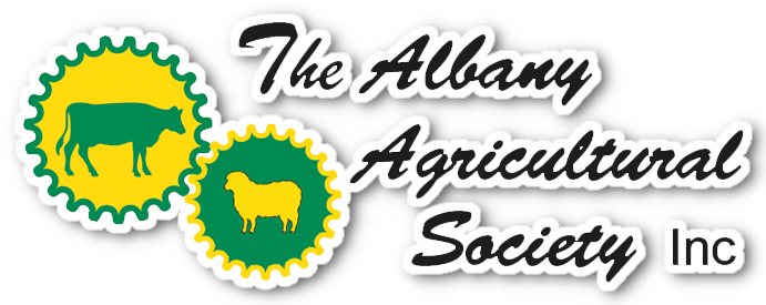 website logo